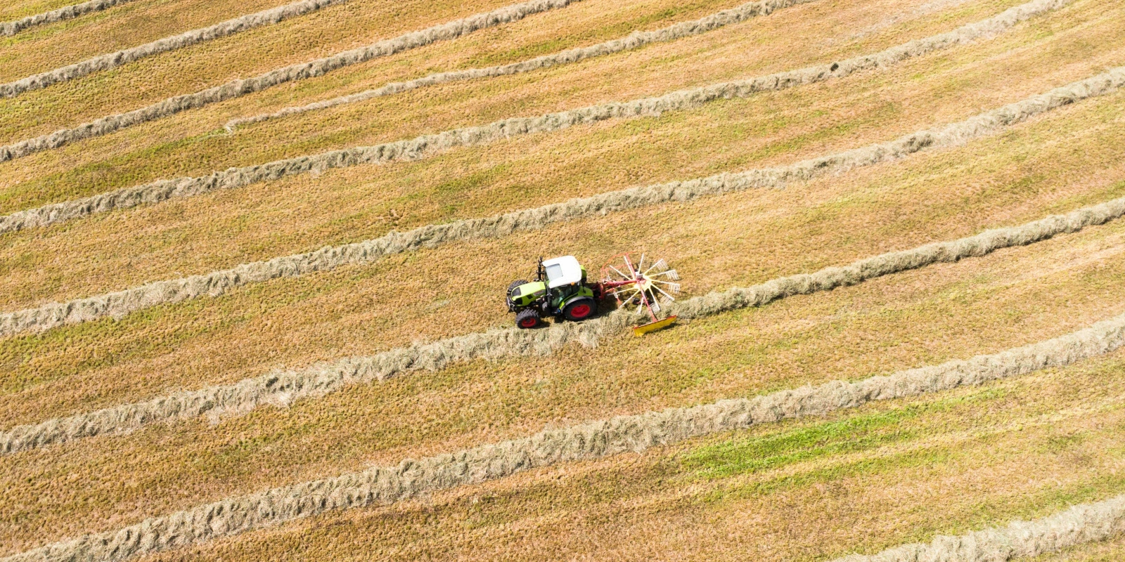 CNED Licence Art Plastique : Avis et Informations