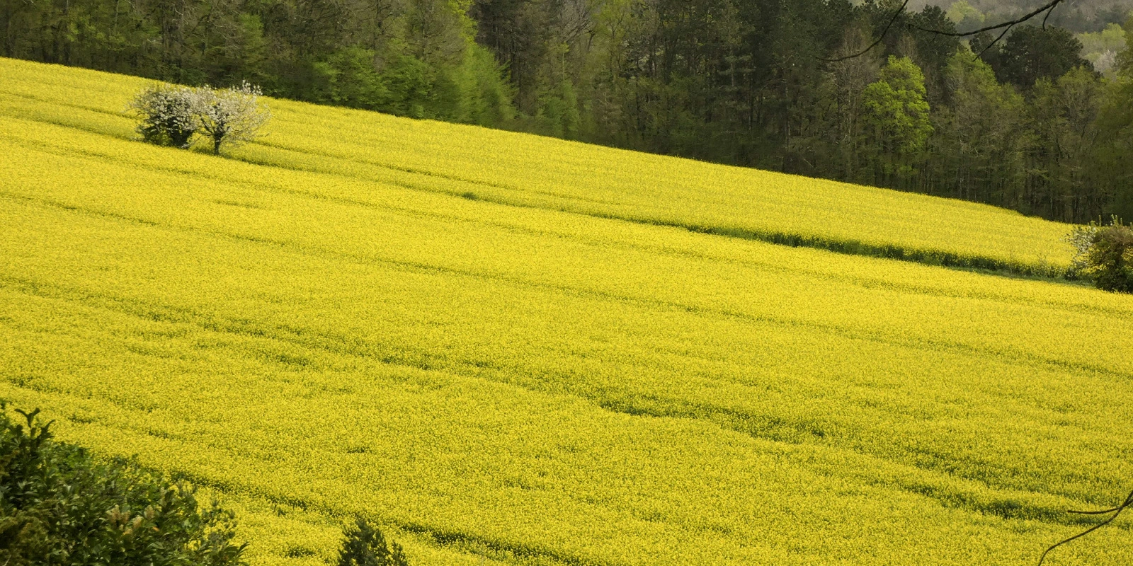 Études À Distance En Arts Plastiques : Est-ce Possible ?