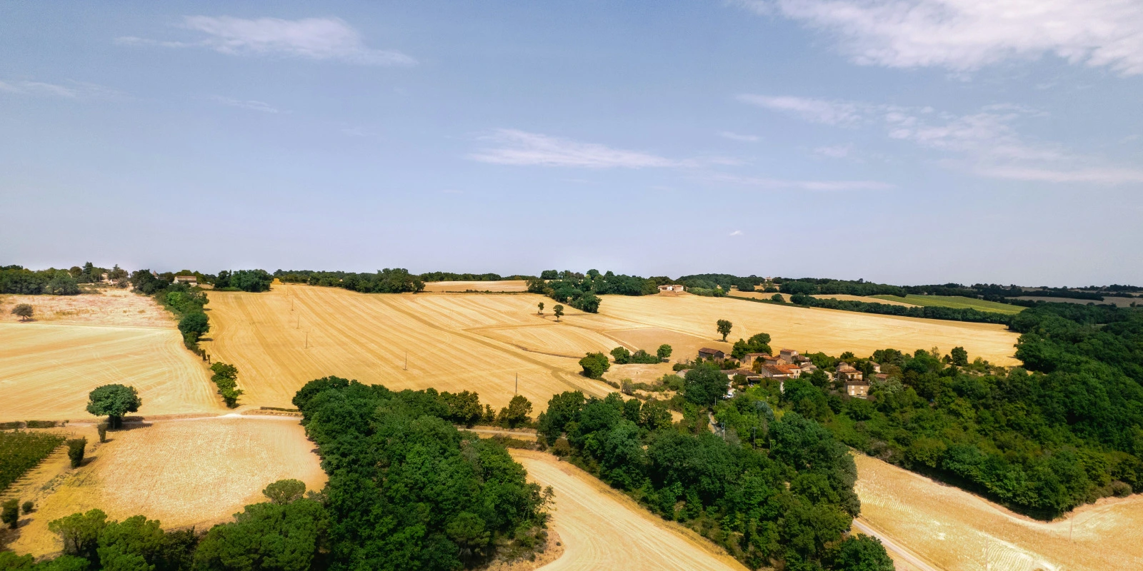 Le Parcours Type D'Un Étudiant En Licence Arts Plastiques