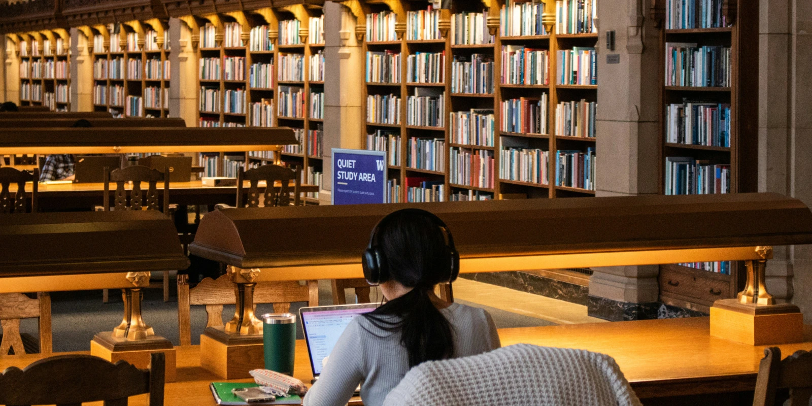 Licence AP (Arts Plastiques) : Conseil et Orientation