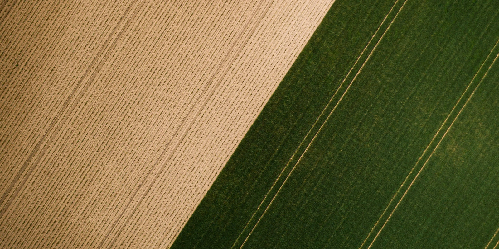 Licence Art Plastique Metz : Programme et Cours