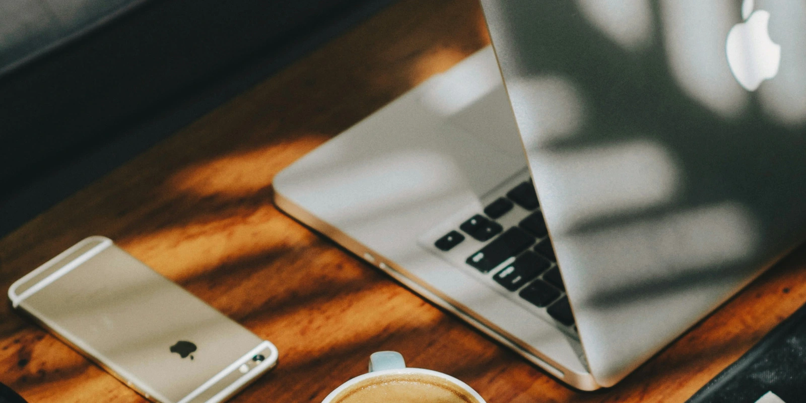 Licence Arts Plastiques Et Insertion Professionnelle : Que Faire Ensuite ?