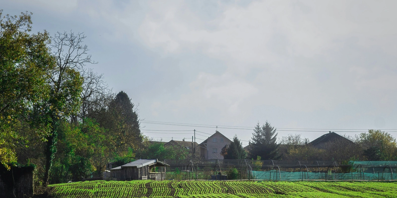 Licence D'Arts Plastiques : Examens et Partiels