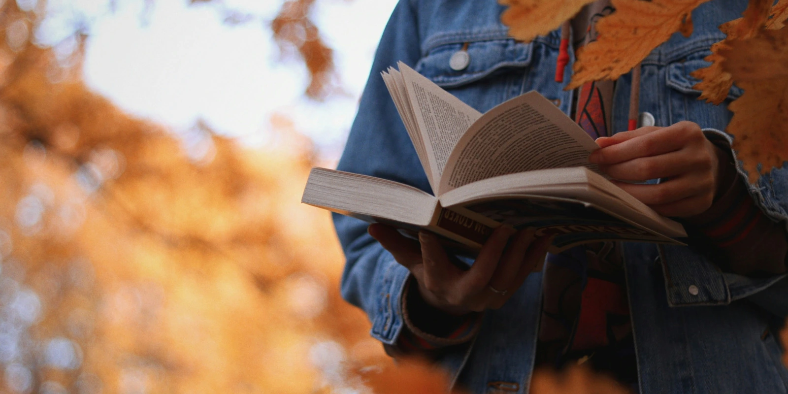 Que Faire Après une Licence Arts Plastiques ?